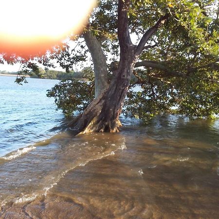 Niduwari Lake Homestay Dambulla Eksteriør billede