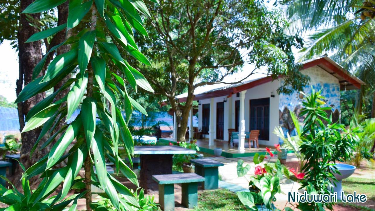 Niduwari Lake Homestay Dambulla Eksteriør billede