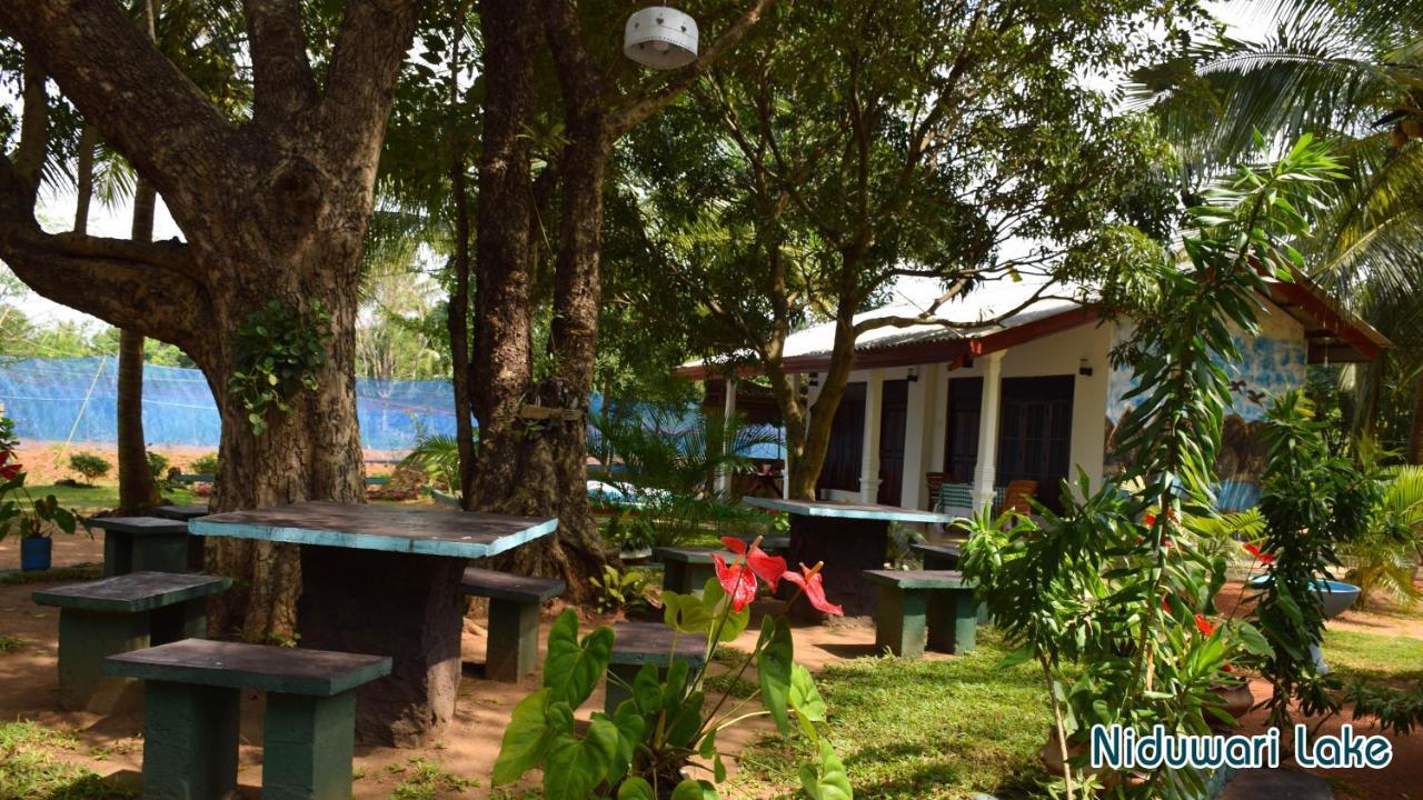 Niduwari Lake Homestay Dambulla Eksteriør billede