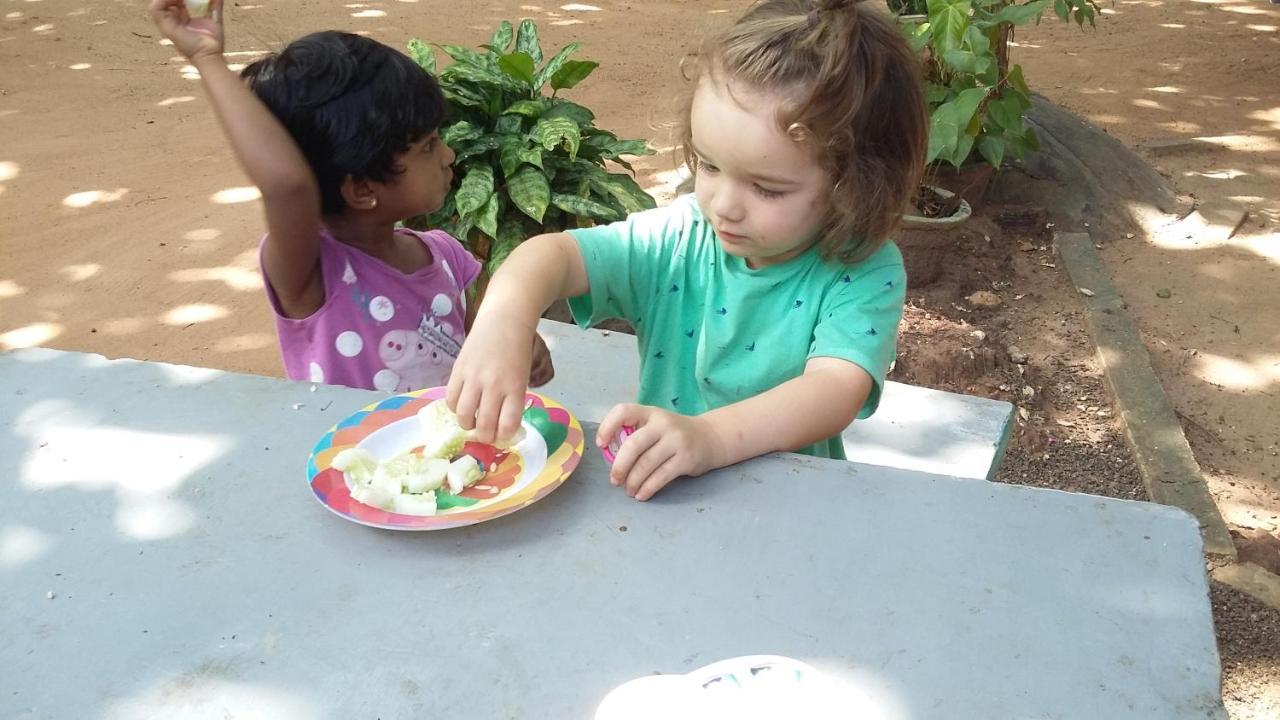 Niduwari Lake Homestay Dambulla Eksteriør billede