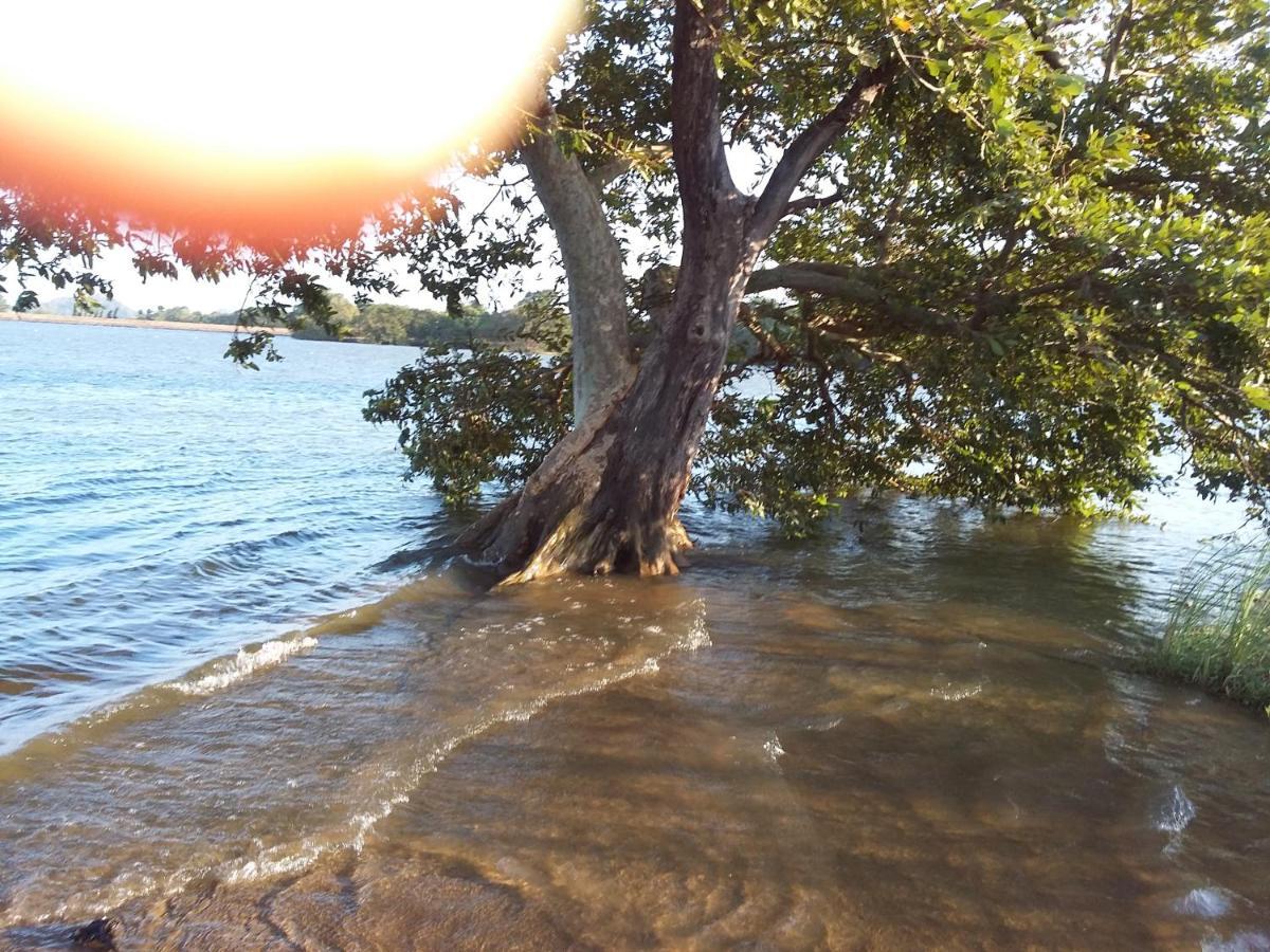 Niduwari Lake Homestay Dambulla Eksteriør billede